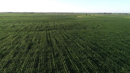 Marshall County Iowa Farmland Auction - image 11