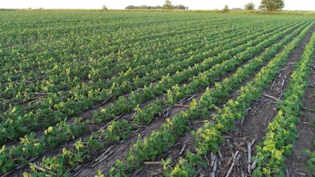 Marshall County Iowa Farmland Auction - image 40