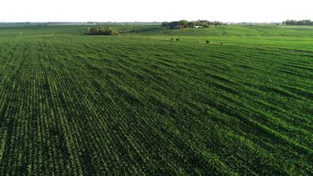 Marshall County Iowa Farmland Auction - image 13