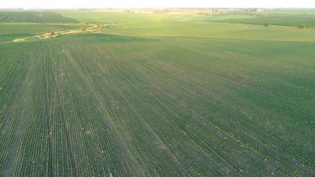 Marshall County Iowa Farmland Auction - image 37