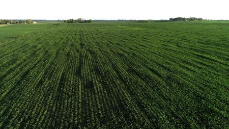 Marshall County Iowa Farmland Auction - image 10