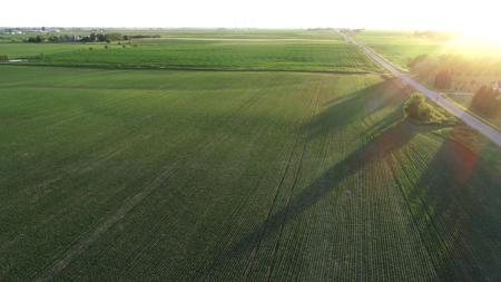 Marshall County Iowa Farmland Auction - image 24