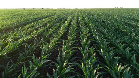 Marshall County Iowa Farmland Auction - image 29