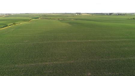 Marshall County Iowa Farmland Auction - image 23