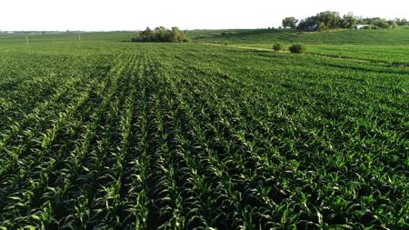 Marshall County Iowa Farmland Auction - image 14