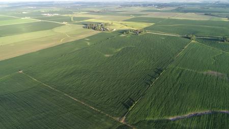 Marshall County Iowa Farmland Auction - image 6