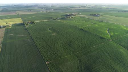 Marshall County Iowa Farmland Auction - image 7