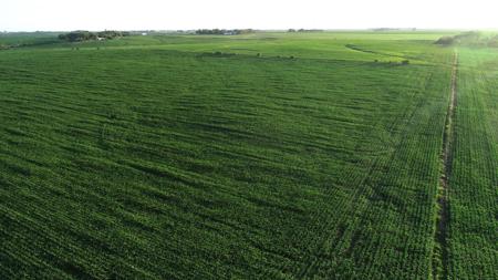 Marshall County Iowa Farmland Auction - image 8