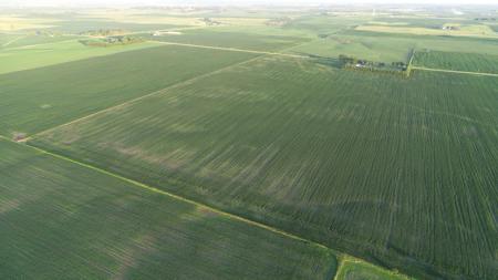 Marshall County Iowa Farmland Auction - image 27