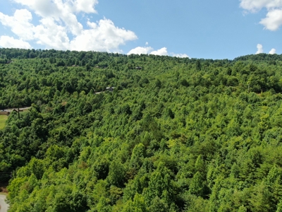New Tazewell- Claiborne County TN-Lake View Lot for Sale - image 32