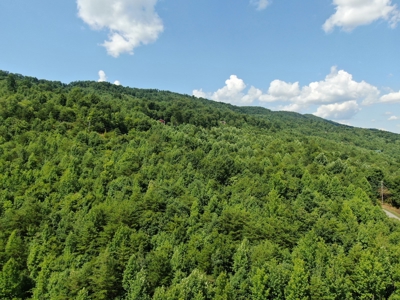 New Tazewell- Claiborne County TN-Lake View Lot for Sale - image 29