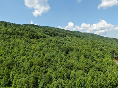 New Tazewell- Claiborne County TN-Lake View Lot for Sale - image 30
