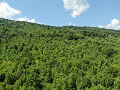 New Tazewell- Claiborne County TN-Lake View Lot for Sale - image 31