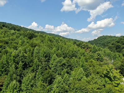 New Tazewell- Claiborne County TN-Lake View Lot for Sale - image 25