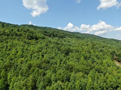 New Tazewell- Claiborne County TN-Lake View Lot for Sale - image 27