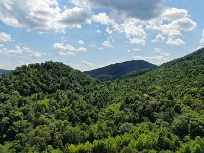 New Tazewell- Claiborne County TN-Lake View Lot for Sale - image 35