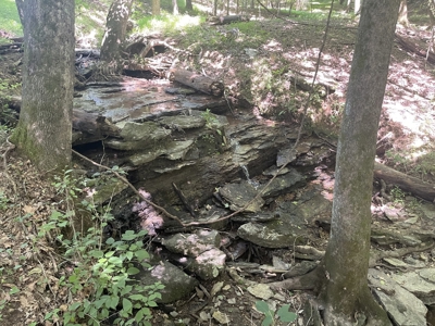 Farm For Sale In Lawrenceburg Tennessee - image 26