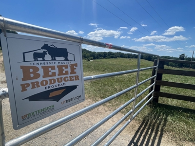 Farm For Sale In Lawrenceburg Tennessee - image 38