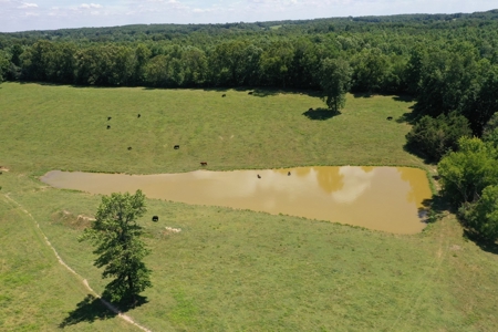 Farm For Sale In Lawrenceburg Tennessee - image 4