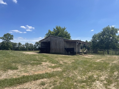 Farm For Sale In Lawrenceburg Tennessee - image 36