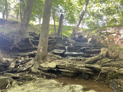 Farm For Sale In Lawrenceburg Tennessee - image 24