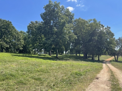 Farm For Sale In Lawrenceburg Tennessee - image 22