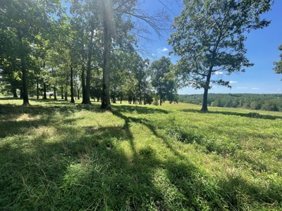 Farm For Sale In Lawrenceburg Tennessee - image 33