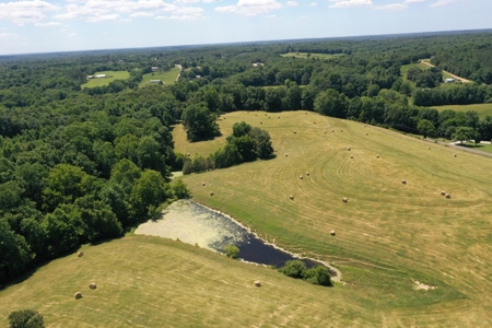 Farm For Sale In Lawrenceburg Tennessee - image 13