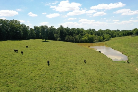 Farm For Sale In Lawrenceburg Tennessee - image 8