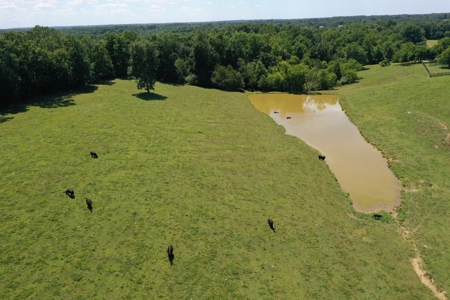 Farm For Sale In Lawrenceburg Tennessee - image 20