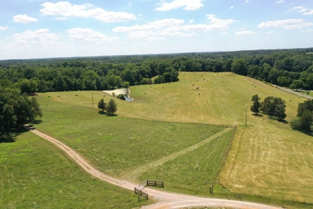 Farm For Sale In Lawrenceburg Tennessee - image 19