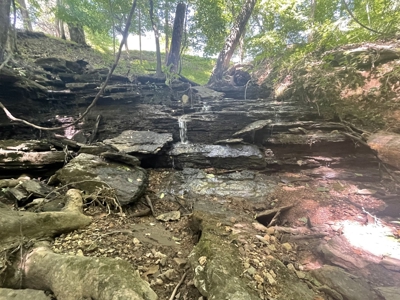Farm For Sale In Lawrenceburg Tennessee - image 23