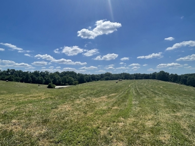Farm For Sale In Lawrenceburg Tennessee - image 32