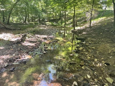 Farm For Sale In Lawrenceburg Tennessee - image 27