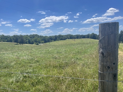 Farm For Sale In Lawrenceburg Tennessee - image 40