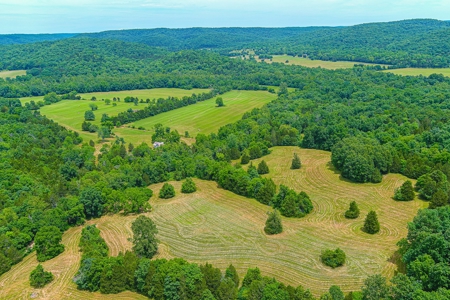 SO MO Ozarks Farm, Hunting Land For Sale, Reynolds County - image 11