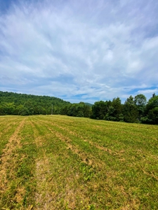 SO MO Ozarks Farm, Hunting Land For Sale, Reynolds County - image 2