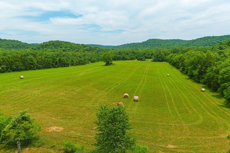 SO MO Ozarks Farm, Hunting Land For Sale, Reynolds County - image 5