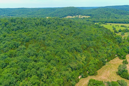 SO MO Ozarks Farm, Hunting Land For Sale, Reynolds County - image 12