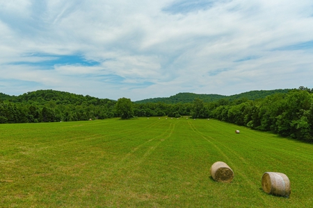 SO MO Ozarks Farm, Hunting Land For Sale, Reynolds County - image 13