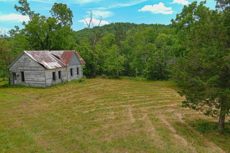 SO MO Ozarks Farm, Hunting Land For Sale, Reynolds County - image 14