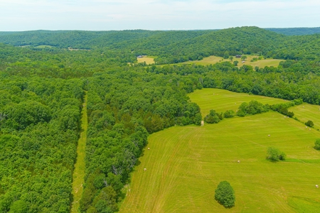 SO MO Ozarks Farm, Hunting Land For Sale, Reynolds County - image 1