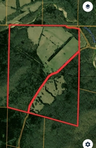 SO MO Ozarks Farm, Hunting Land For Sale, Reynolds County - image 17