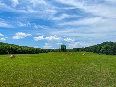 SO MO Ozarks Farm, Hunting Land For Sale, Reynolds County - image 4