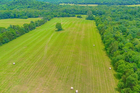 SO MO Ozarks Farm, Hunting Land For Sale, Reynolds County - image 6