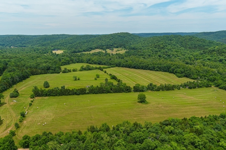 SO MO Ozarks Farm, Hunting Land For Sale, Reynolds County - image 9