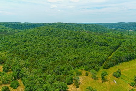 SO MO Ozarks Farm, Hunting Land For Sale, Reynolds County - image 8