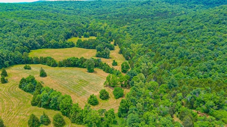 SO MO Ozarks Farm, Hunting Land For Sale, Reynolds County - image 7