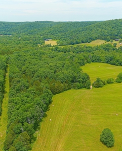 SO MO Ozarks Farm, Hunting Land For Sale, Reynolds County - image 19
