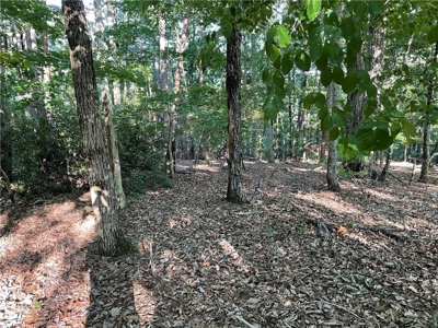 Beautiful Lake Front Property in North Georgia Mountains - image 11